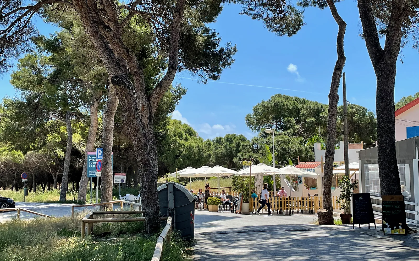Cafe unter Pinien