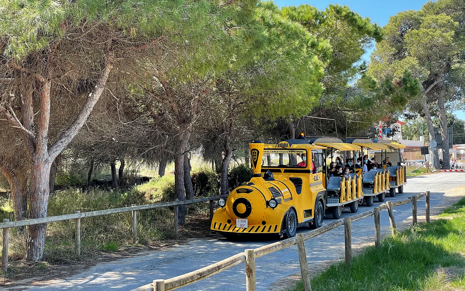 Pinienweg mit Bimmelbahn